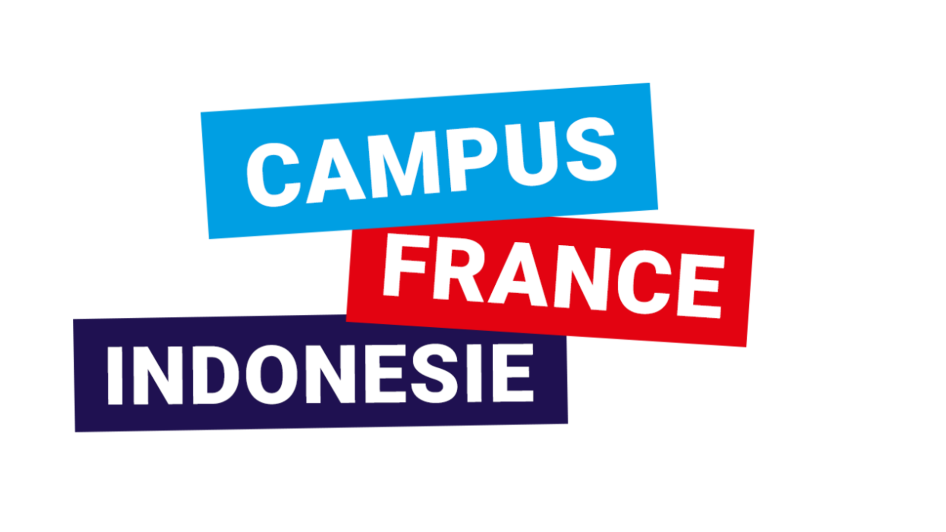 L’ORGANISATION DE CAMPUS FRANCE  Campus France